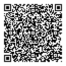 QR код "Глобус"