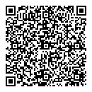 QR код "Disco"