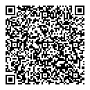 QR код "Спутник"