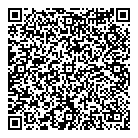 QR код "Мир игрушек"
