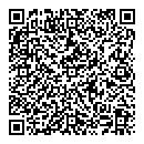 QR код "Леда"