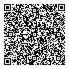QR код "Игрушка"
