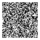 QR код "Дон Кихот"