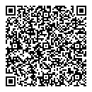 QR код "100 карат"