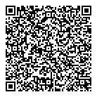 QR код "ДНС"