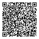 QR код "Феникс"