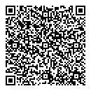 QR код "Алиса"