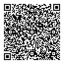 QR код "Алиса"
