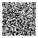 QR код "Solo"