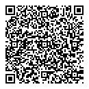 QR код "Solo"
