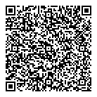 QR код "Домино"