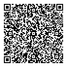 QR код "Ревизор"
