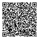 QR код "Вектор"