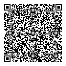 QR код "ДНС"