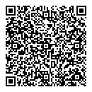 QR код "Близнецы"