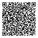 QR код "Алиса"