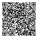 QR код "Шкода"