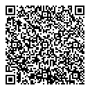 QR код "Молния"