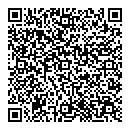 QR код "Дельфин"
