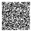 QR код "Алиса"