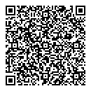 QR код "V образе"