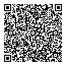 QR код "Silver Shine"