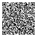 QR код "Silver Shine"