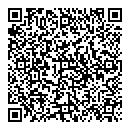 QR код "Camelot"