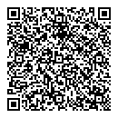 QR код "Барс"