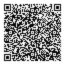 QR код "Алсу"