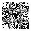 QR код "Алиса"
