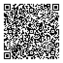 QR код "Спутник"