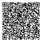 QR код "DIDRIKSONS1913 и Zoom"