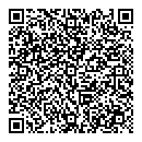 QR код "Арктика"