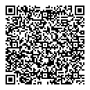 QR код "Auto Segment"