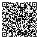 QR код "Блеск"