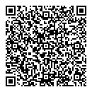 QR код "Domino"