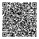 QR код "EyeQ"