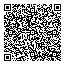 QR код "City Style"