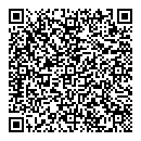 QR код "Snowimage"