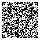 QR код "Спутник"