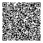 QR код "Сатурн"