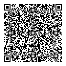 QR код "Вулкан"