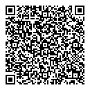 QR код "Dendy"