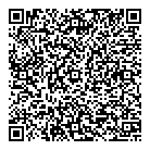 QR код "VD Бор"