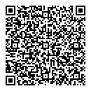 QR код "Дутый Фри"