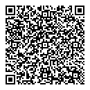 QR код "Лион"