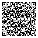 QR код "Луна"
