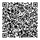 QR код "Глобус"