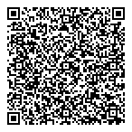 QR код "Demis Group"
